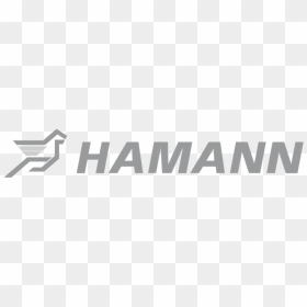 , Hamann Motorsport Bmw X6/x6m - Hamann, HD Png Download - f16 png