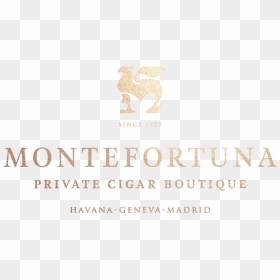 Kangaroo, HD Png Download - cuban cigar png