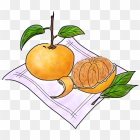 Tangerine , Png Download - Food, Transparent Png - tangerine png