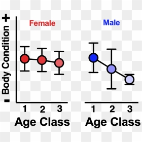 Males Show A Decline In Body Condition With Age That - Technically The Glass Is Always, HD Png Download - fat albert png