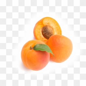 Tangerine , Png Download - Clementine, Transparent Png - tangerine png