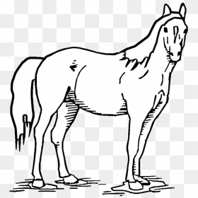 Horse Standing Coloring Pages, HD Png Download - throw up emoji png