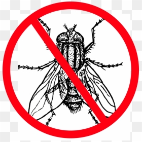 Flies Clipart Harmful Insect - Fly Clipart Black And White, HD Png Download - house fly png
