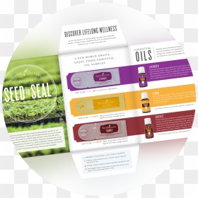 Young Living Essential Oils - Label, HD Png Download - young living png
