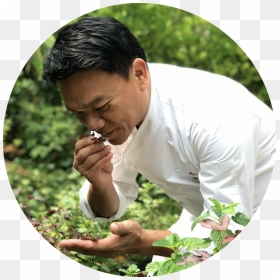 Chef Ian Kittichai At Tangerine"s Herb Garden "  Class="img-responsive - Grass, HD Png Download - tangerine png