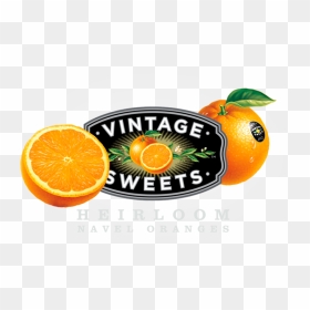 Tangerine , Png Download - Tangerine, Transparent Png - tangerine png