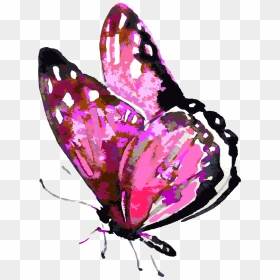 Beyond Fear To Freedom - Yellow Butterfly Watercolor, HD Png Download - watercolor butterfly png