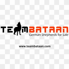 Soft Kennel, HD Png Download - german shepherd silhouette png