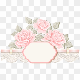 Thumb Image - Garden Roses, HD Png Download - wedding flower png