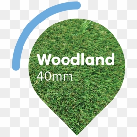 Woodland-buble - Artificial Turf, HD Png Download - buble png
