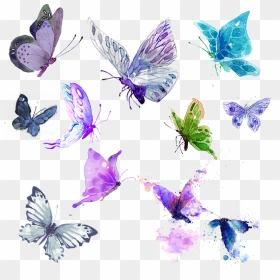 #butterflies #watercolor #teal #purple #green #png - Teal Watercolor Butterflies, Transparent Png - watercolor butterfly png