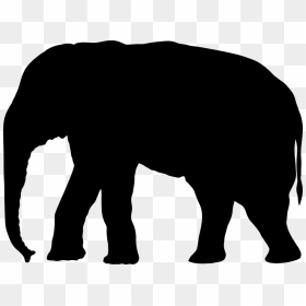 Indian Elephant, HD Png Download - white elephant png