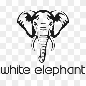 Elephant Face Black And White, HD Png Download - white elephant png