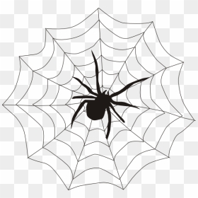 Spider And Web Clip Art - Spider In A Web Clipart, HD Png Download - spider web tattoo png