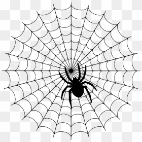 Spider Web Silhouette, HD Png Download - spider web tattoo png