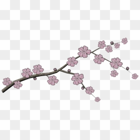 Japanese Tree Branch Png , Png Download - Cherry Blossom, Transparent Png - japanese tree png