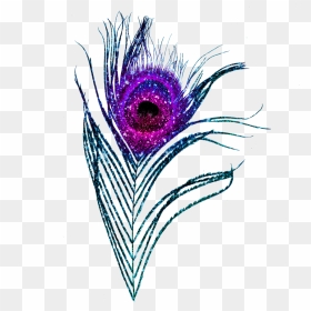 Glitter-feather 0008 8, HD Png Download - blue feather png