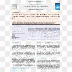 Screenshot, HD Png Download - house fly png