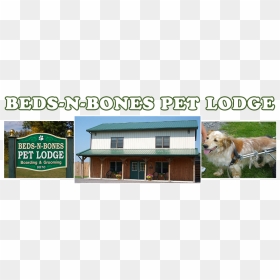 Beds N Bones Pet Lodge, Batavia Ny, 343 - Roof, HD Png Download - dog bones png