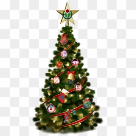 Wiki-mas Tree - Clear Png Christmas Tree, Transparent Png - spruce tree png