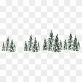 Winter Snow Spruce Tree - White Snow Trees Png, Transparent Png - spruce tree png