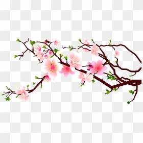 Japanese Cherry Blossom Clip Black And White Download, HD Png Download - japanese tree png