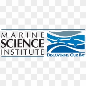 Marine Science Institute - Marine Science Institute Logo, HD Png Download - martini splash png