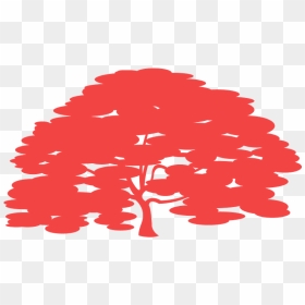Illustration, HD Png Download - japanese tree png