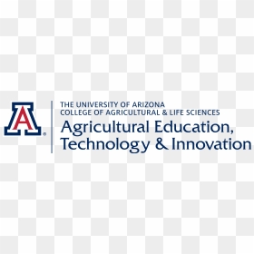 Oval, HD Png Download - saguaro png