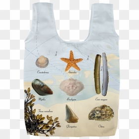 Beach Foldable Bag - Prickly Pear, HD Png Download - saguaro png