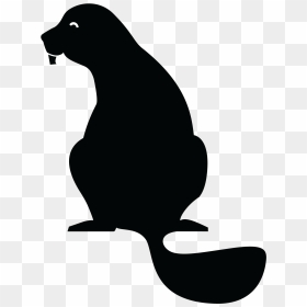 Logo - Beaver Works Summer Institute, HD Png Download - summer rae png