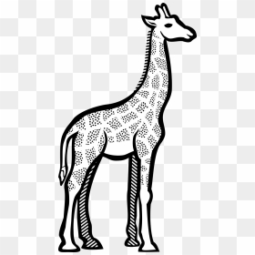Giraffe In Art Drawing, HD Png Download - giraffe cartoon png