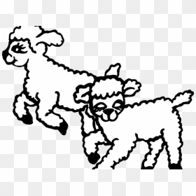 Transparent Sheep Clipart Png - Lambs Clipart, Png Download - lamb clipart png