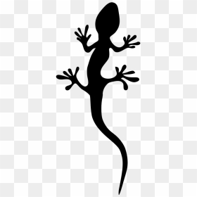 Salamander Clipart Clip Art - Lizard Black And White, HD Png Download - vhv