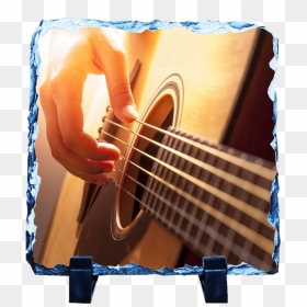 Premium Guide, Hd Png Download - Music Instrument Hd, Transparent Png - bajo sexto png