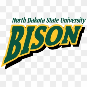 Bison 2005-11 - North Dakota State Team, HD Png Download - m bison png