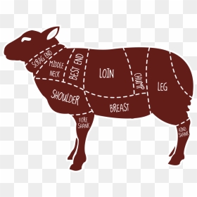 Free Download Meat Map Of A Lamb Clipart Lamb And Mutton - Sheep Meat, HD Png Download - lamb clipart png