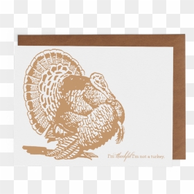 Transparent Ruffed Grouse Clipart - Wild Turkey, HD Png Download - wild turkey png