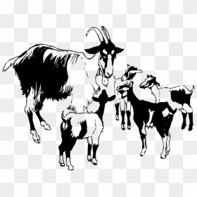 Goat Clipart Family - Herd Of Goats Clipart, HD Png Download - goat clipart png