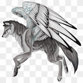 Drawn Wolf Winged Wolf - Head Of A Wolf With Wing Drawing, HD Png Download - wolf drawing png