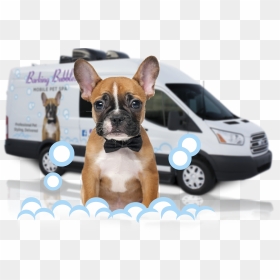 Dog Barking Png , Png Download - Swag Mobile Pet Grooming, Transparent Png - dog barking png