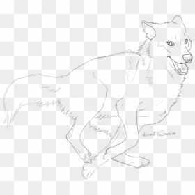 Drawn Wolf Running Wolf - Line Art, HD Png Download - wolf drawing png