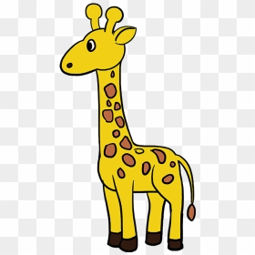How To Draw A Giraffe - Giraffe Drawing, HD Png Download - giraffe cartoon png
