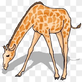 Free Giraffe Clipart - Animal Clipart, HD Png Download - giraffe cartoon png