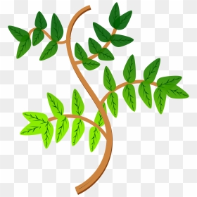 Leaves And Branches 2 Clip Arts - Ramas De La Planta, HD Png Download - olive branches png
