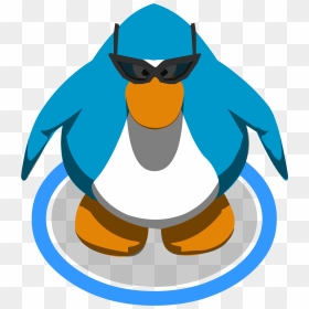 Club Penguin Wiki - Club Penguin Light Blue Penguin, HD Png Download - cat eye glasses png