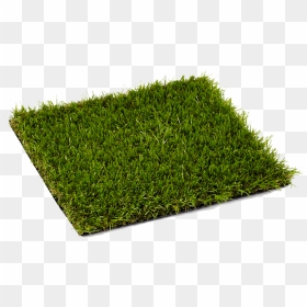 London Artificial Grass - Synthetic Grass Png, Transparent Png - turf png