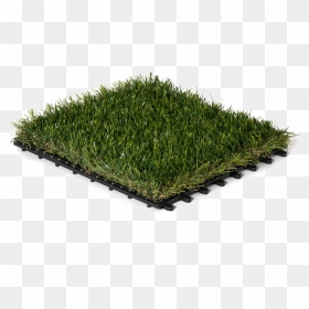 Artificial Turf Transparent Images Png - Artificial Turf, Png Download - turf png