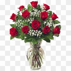 Dozen Roses With Baby"s Breath , Png Download - 1 Dozen Red Roses, Transparent Png - babys breath png
