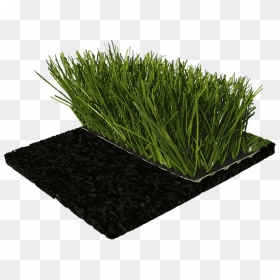 Sportec Team Cup - Artificial Turf, HD Png Download - turf png